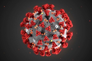 Microscopic view of Novel Coronavirus (2019-nCoV), Flu or SARS virus. (Microscopic view of Novel Coronavirus